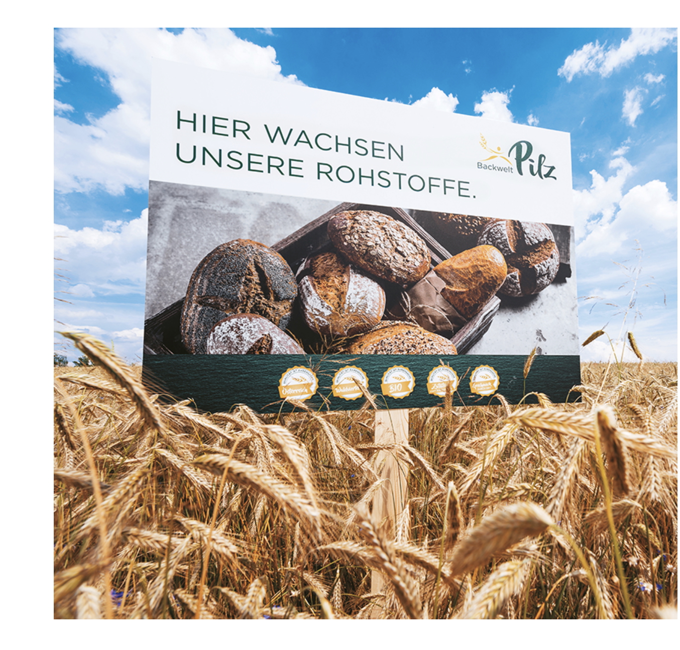 Dank einer konsequenten Nachhaltigkeitsstrategie bleibt die Backwelt Pilz auch in Zukunft ein verlässlicher Partner.