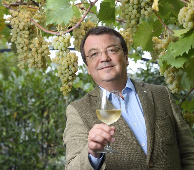 Willi Klinger