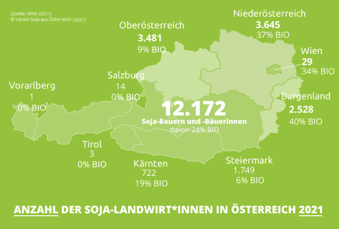 Soja Grafik 1