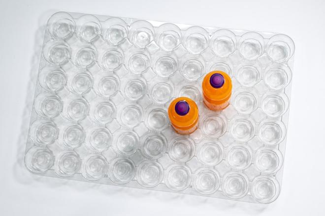 PET Tray-to-Tray