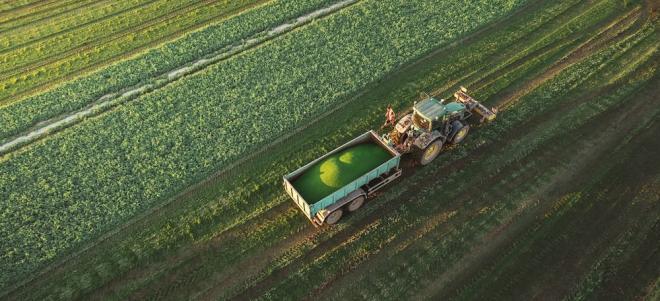 Erbsen-Ernte im Marchfeld