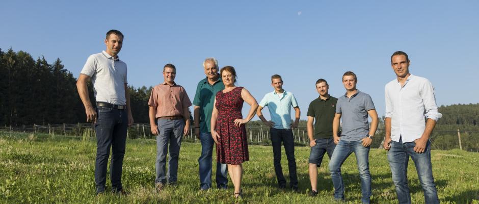 Kiwibeere aus der Steiermark