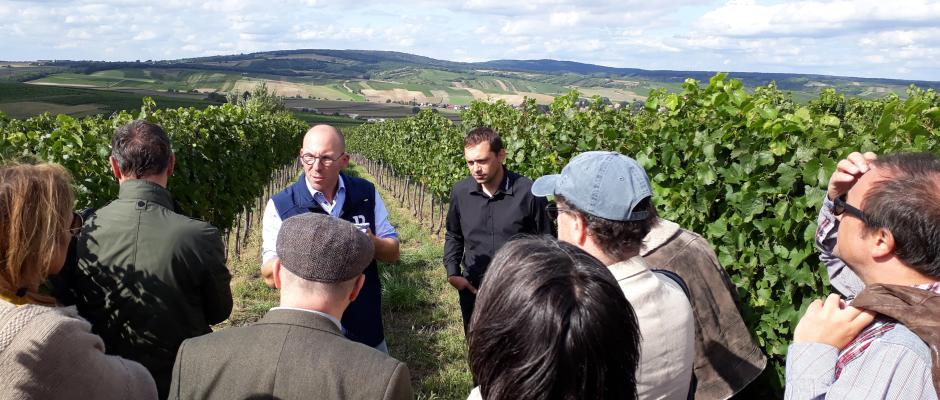 Sekt aus Poysdorf