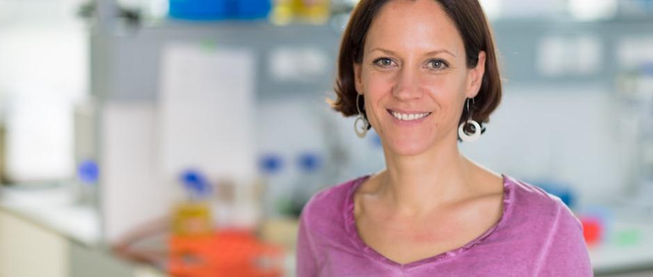 FH-Prof.in Dipl.-Ing.in Dr.in Silvia Apprich ist neue Studiengangsleiterin vom Bachelorstudiengang Nachhaltiges Ressourcenmanagement