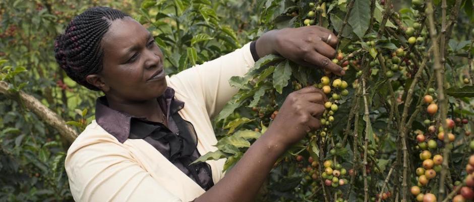 Nestlé startet mit Nescafé Plan 2030