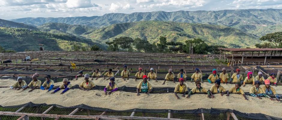 Fairtrade Kaffee unter Druck