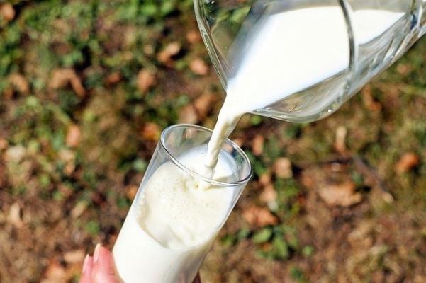 Neuer Codex bei Milch
