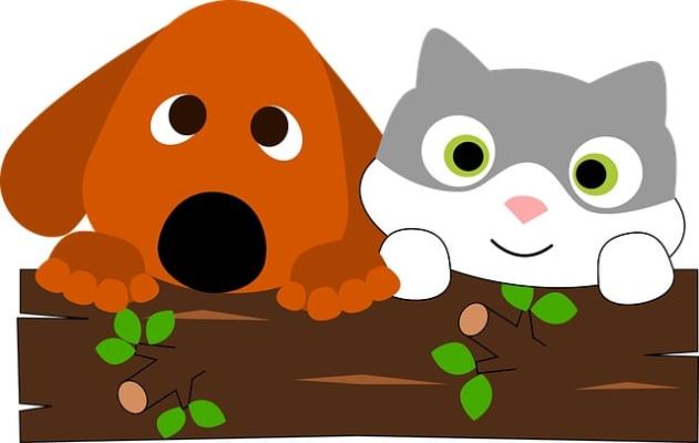 Drei Partner für nachhaltiges Tier-Nassfutter: Mühldorfer Nutrition AG, Neuburger Fleischlos und Austria Pet Food.