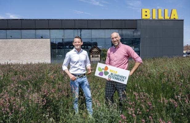 Seit zehn Jahren engagiert sich BILLA mit der Stiftung Blühendes Österreich für eine vielfältige Natur und den Erhalt artenreicher Lebensräume.