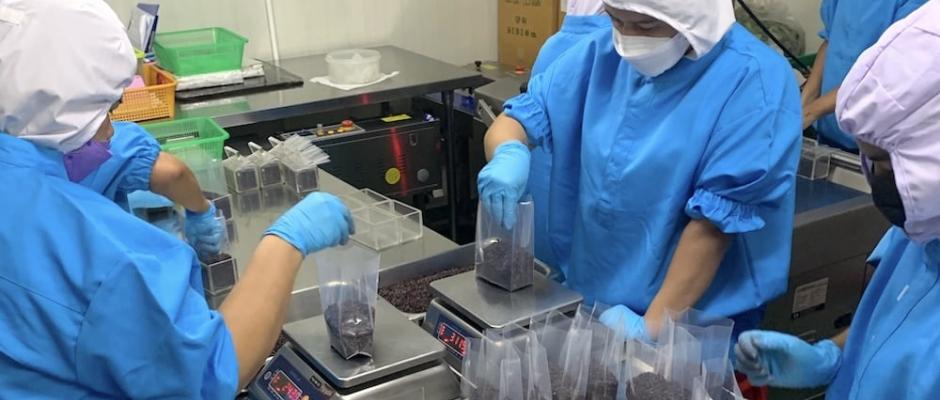 Auch die Abfüllung und Verpackung erfolgt in Handarbeit.