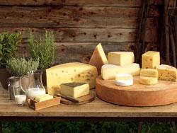 Heumilchkäse