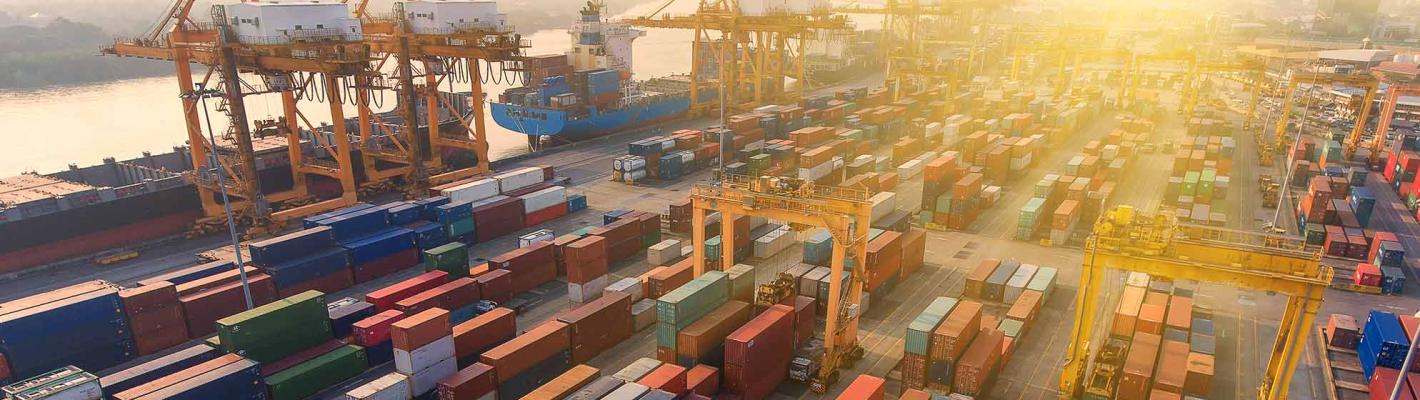 ECR Supply Chain Manager Kurs