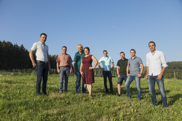 Kiwibeere aus der Steiermark
