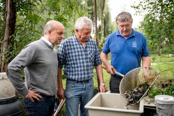 Egger Fischbestand