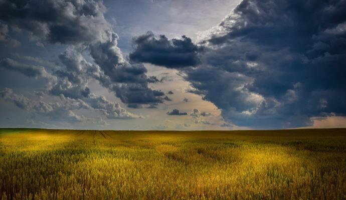 Wolken über der Welternährung