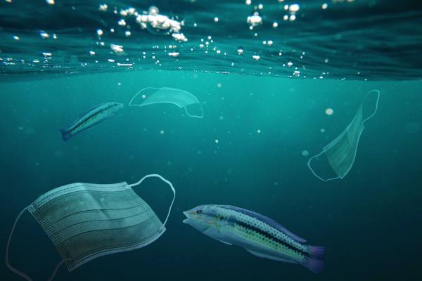 Drei Strategien gegen die Plastikpandemie