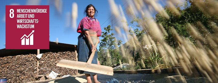 Fairtrade und SDGs