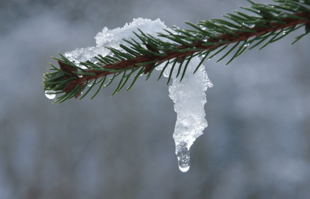 Rewe und Handelsverband diskutieren mit Agrariern auf der Wintertagung: Tauwetter zwischen Bauern und LEH
