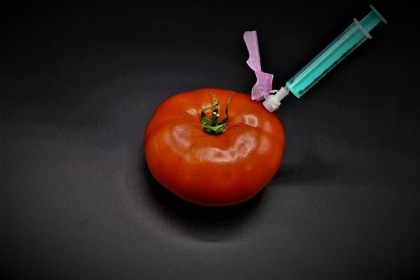 Klare Regulierung der Gentechnik gefordert