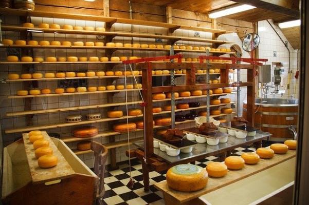 Auch für Hersteller von Käse wird der IFS Food Standard verpflichtend.