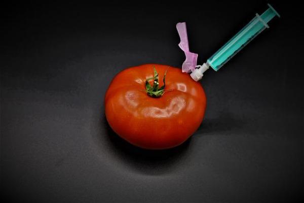 Ein Diskurs über die Arten der Gentechnik und ihren erlaubten Möglichkeiten startet.