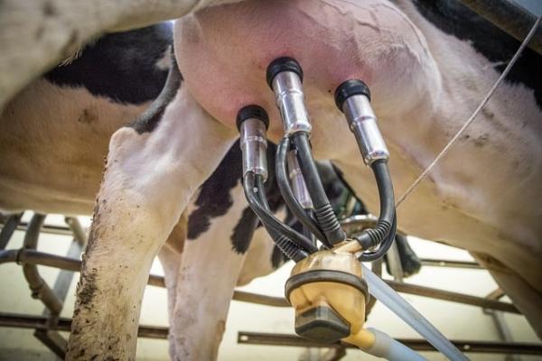 Tierwohl nimmt an Fahrt auf