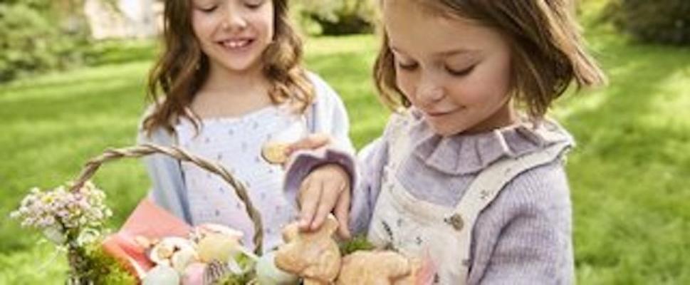 Meist bringen wir Lebkuchen mit der Winter- und Weihnachtszeit in Verbindung, doch köstliches Feingebäck hat das ganze Jahr über Saison. 
