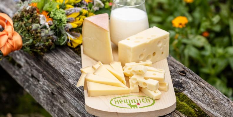 Käsespezialitäten aus Heumilch dominierten bei der Internationalen Käsiade in Hopfgarten den Wettbewerb und holten insgesamt 64 Auszeichnungen. 